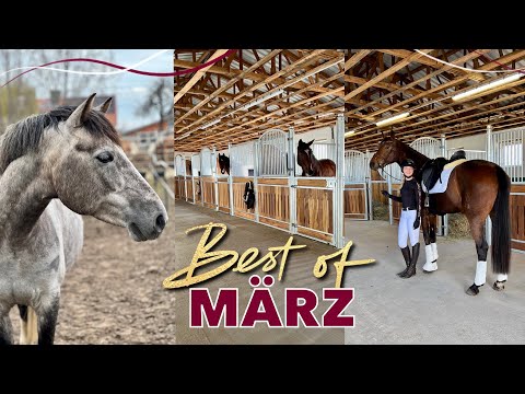Von Luxusboxen und bunten Ponys ???? | Best of März