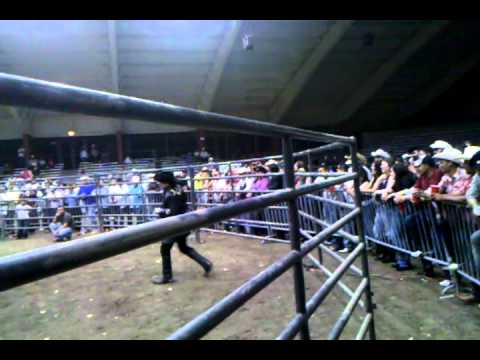 Thumbnail for el puma de sinaloa a escondidas