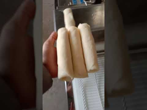 Thumbnail for Spring rolls making machine