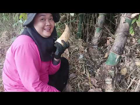 ป้าดด.ม่วนกรุ๊ป..ม่วนกว่าหมอลำอีก