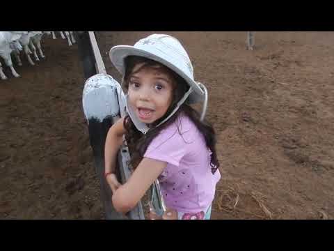 Thumbnail for Dia 11 de Fevereiro de 2023!