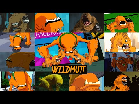 All wildmutt transformations in all Ben 10 series