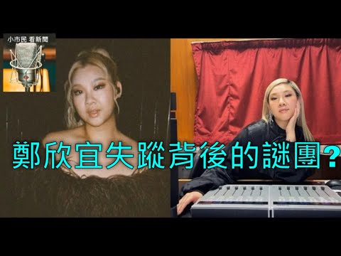 Thumbnail for 鄭欣宜失蹤背後的謎團? 小市民看新聞LCNews