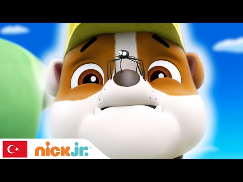 Pati Devriyesi | Yavruların, Yardımına İhtiyacı Var! - 1. Bölüm | Nick Jr.