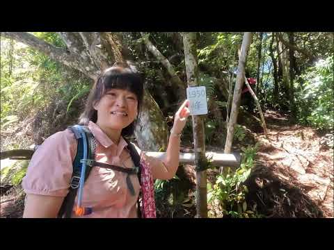 Thumbnail for 長壽山￼→夫妻樹→1950峰→￼醜崠山→大崠山2023/7/4￼