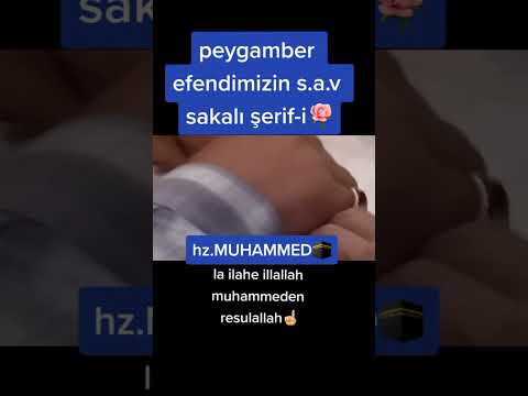 WhatsApp üçün yeni video və mahnı 2023 mp3
