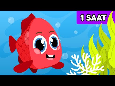 Thumbnail for Kırmızı Balık ile Renkleri Öğreniyorum - 1 SAAT Afacan TV Çocuk Şarkıları