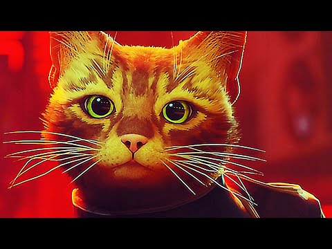 Imaginez : Vous êtes un chat pendant la fin du monde (Stray - Part 1)