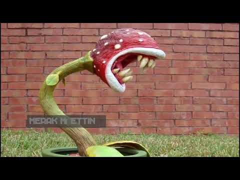 Thumbnail for Daha Önce Görmediğiniz 10 Vahşi Etobur Bitki (Nasil Avlanıyorlar)