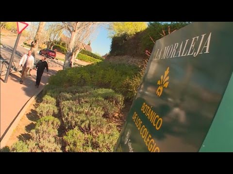 Thumbnail for La Moraleja, el barrio más caro de Alcobendas