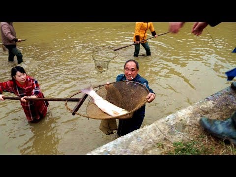 Thumbnail for 这么大的鱼真的很少见,一个翻身差点把秋子甩倒,你猜这鱼有多重