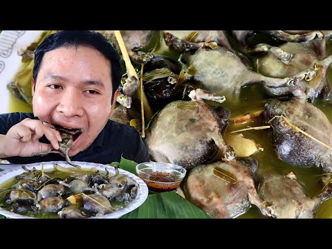 ต้มอึ่งไข่เต็มท้อง 1 กิโล!! ไข่ทุกตัว แซ่บแฮงพี่น้องเอ้ย