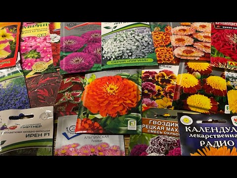 Шикарный выбор ЦВЕТОВ для сезона 2023! Сроки посева