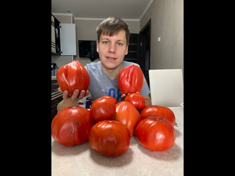 Thumbnail for Томаты Бориса Сонина 2021 года. Выпуск 1.