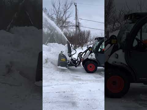 Thumbnail for January 24, 2023