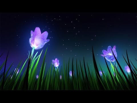 Thumbnail for Relaxing Sleep Music and Night Nature Sounds: Soft Crickets, Beautiful Piano, Fall Asleep Fast