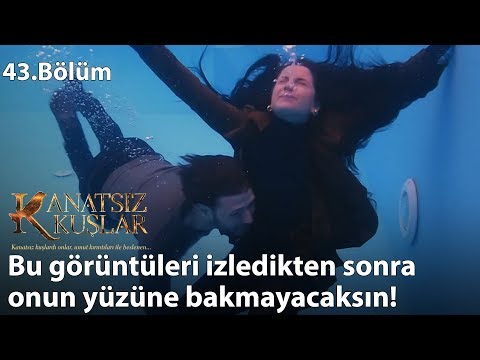 Zeynep, havuzda boğuluyor mu? - Kanatsız Kuşlar 43.Bölüm