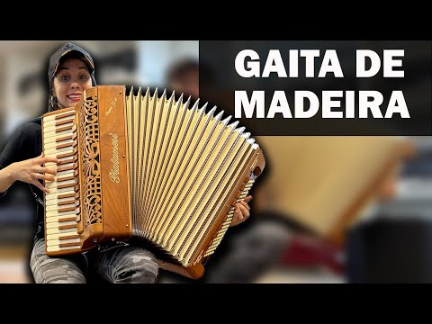 Thumbnail for NO BOM DO BAILE com uma gaita de MADEIRA - Piatanesi