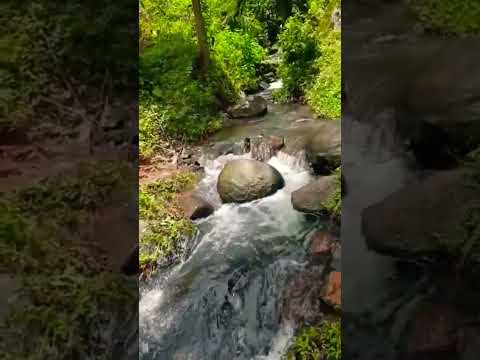 Thumbnail for Relieve Stress And Anxiety???? #shortvideo #arijitsingh #tiktok #funnyvideo #youtubeshorts #arijitsingh