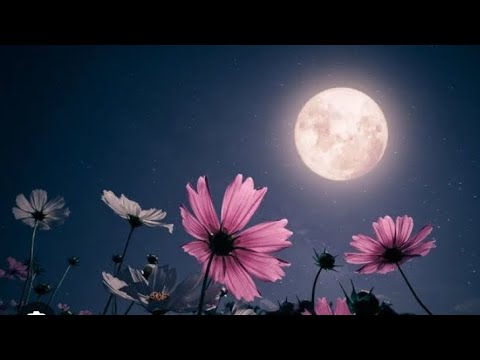 Goodbye Toxicity Aquarius FullMoon in Leo 2024