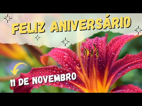 10 de NOVEMBRO ???? A MAIS LINDA MENSAGEM DE ANIVERSÁRIO????BELÍSSIMA