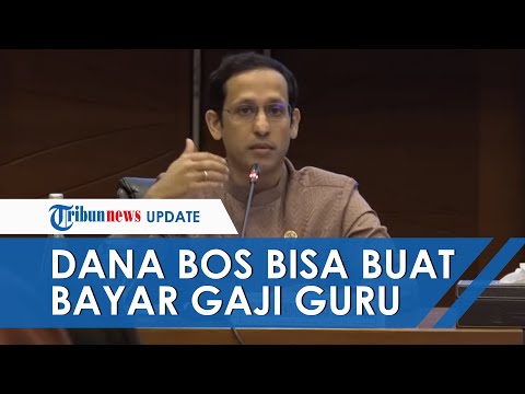 Thumbnail for 50 Persen Dana BOS dapat Digunakan untuk Membayar Gaji Guru Honorer, Syaratnya Cukup Mudah
