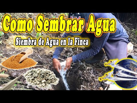 Sembrando Agua en la finca - como sembrar agua