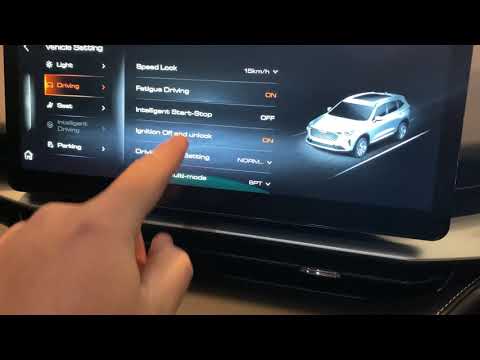Haval H6 Ultra - Vehicle Settings &amp; Customisation Overview - Safety Features