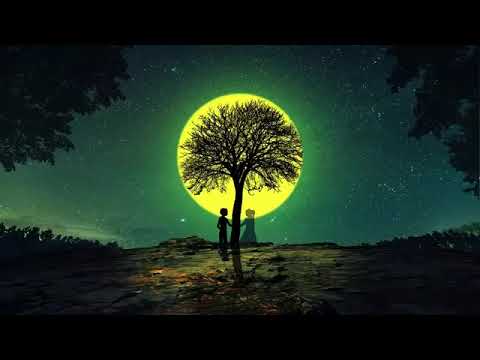 Alan Walker Mix - Love Tree Night Walker Style