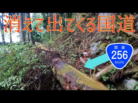 Thumbnail for 開始直後に消失したり点線になる国道  [国道256号　長野側終点調査]