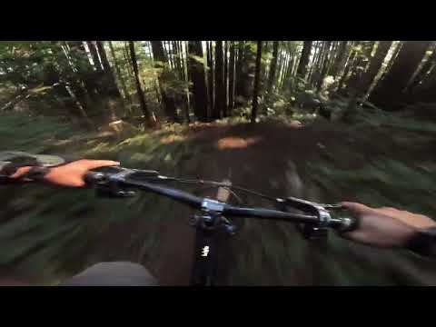 UCSC MTB - first time down this and almost ended badly 7.24.24