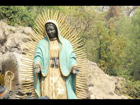 Thumbnail for Dr. Rodrigo Martínez Baracs: La Virgen de Guadalupe. Documentos y relatos históricos