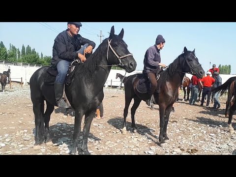 ????ЖЫЛКЫ БАЗАР КАНДАЙ☝️ОШ МАЛ БАЗАР 07.07.19 / БУКА