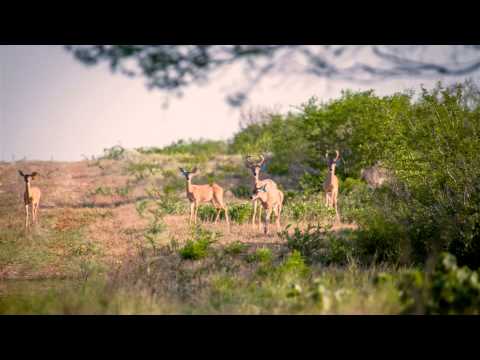 Thumbnail for Rancho Los Abuelos 2014