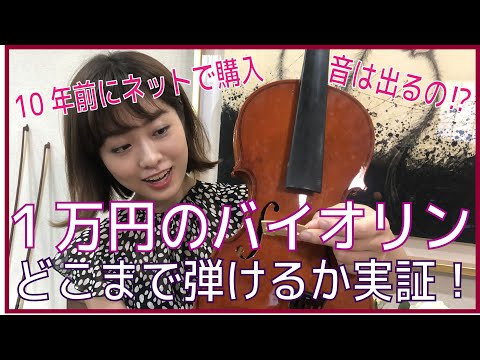 【バイオリニストが実証】ネット購入の激安バイオリンはどこまで弾けるのか!?