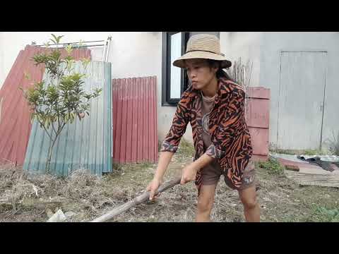 "How to Balance Fun and Safety on a Road Trip"