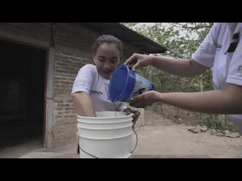 Thumbnail for Cómo hacer Microorganismos de montaña