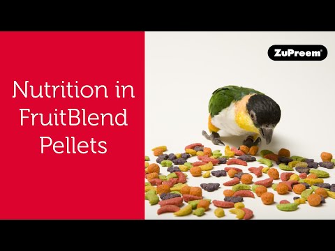Thumbnail for Nutrition in FruitBlend Pellets | Tips for Bird Owners