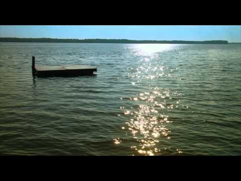 Exclusive Shark Night Clip: Shark Attack! Kill Machine! - Daily Dead