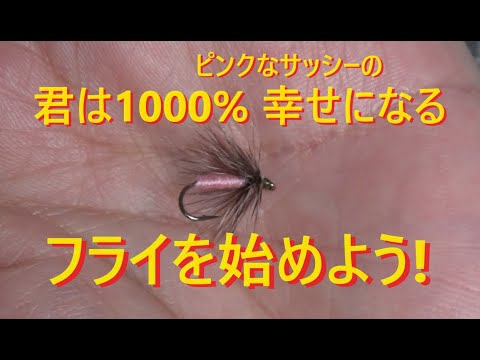 フライを始めよう!　10.第9弾『ピンクサッシー』100均の絹の様な光沢の糸で作ります