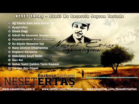 Neşet Ertaş - Hapishanelere Attım Postumu