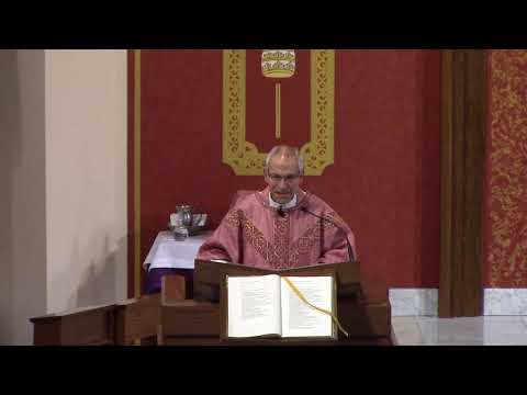 Thumbnail for Fourth Sunday of Lent (Year B) - Fr. Hahn