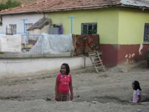 Thumbnail for Pehlul Alkan - Gene Havalandi Goynumun Kusu