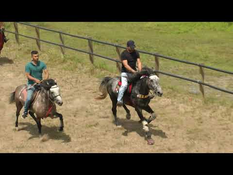 Thumbnail for 21.06.2020 Çarşamba dostluk yarışı