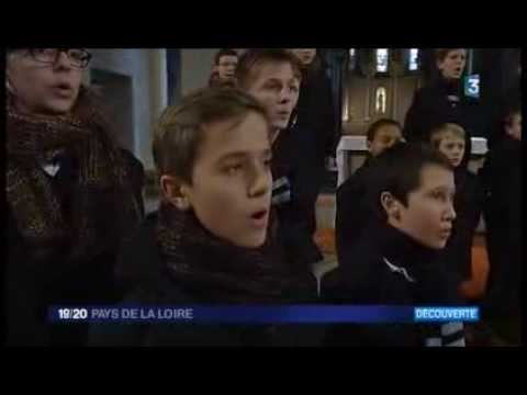 Thumbnail for 2014.02.18 - JT 19-20 Pays de la Loire Fr3