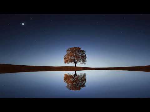 Fundo Musical De Perdão Para Arrependimento e Reflexão