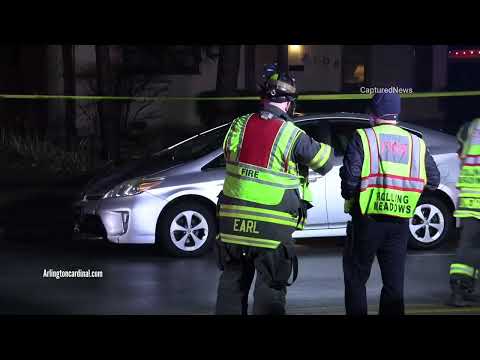 Woman and dog hit by car on Kirchoff Rd Rolling Meadows