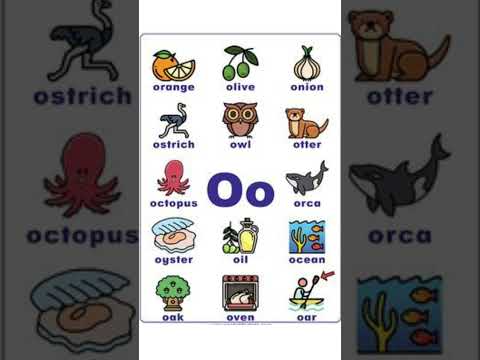 Alphabet "O" words|words start with letter O|@Abcwhiz  #alphabet#letters #ABCD #alphabetflashcards