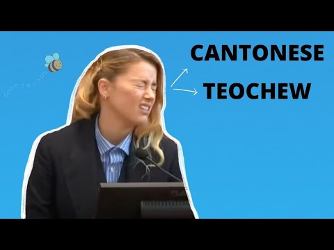 Amber Heard in CANTONESE/TEOCHEW | Stepped on a Bee