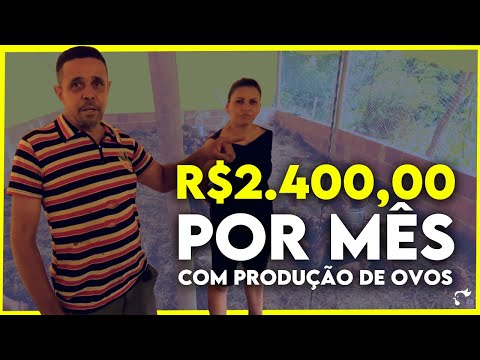 Como ganhar 2 SALÁRIOS criando GALINHA. SEGREDO REVELADO!